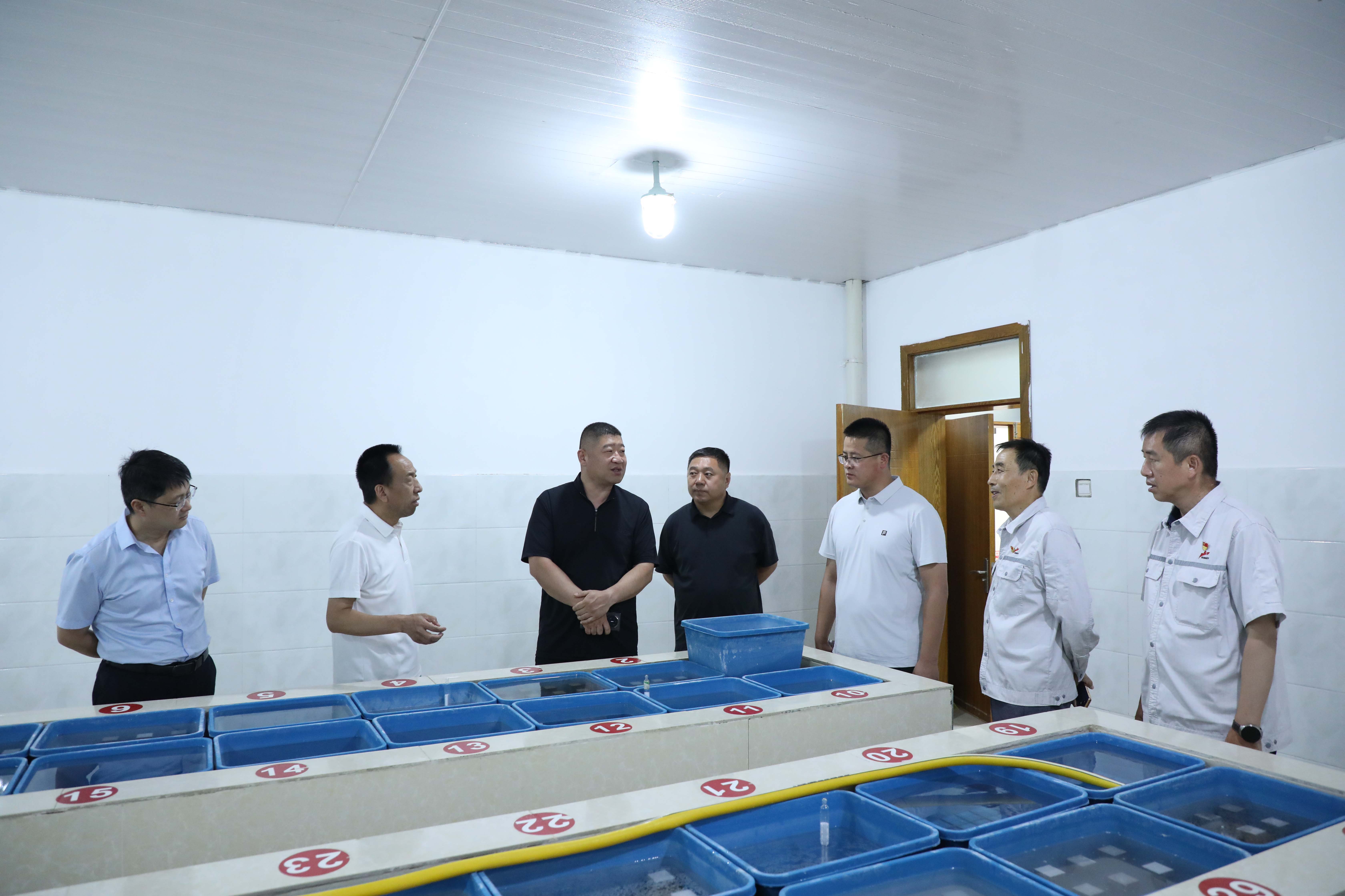 喀什地區(qū)招商局黨組成員、副局長逄子劍一行到疏勒公司調(diào)研 (1)